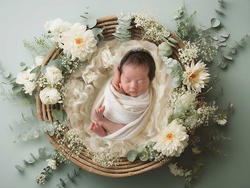 デラックスプラン