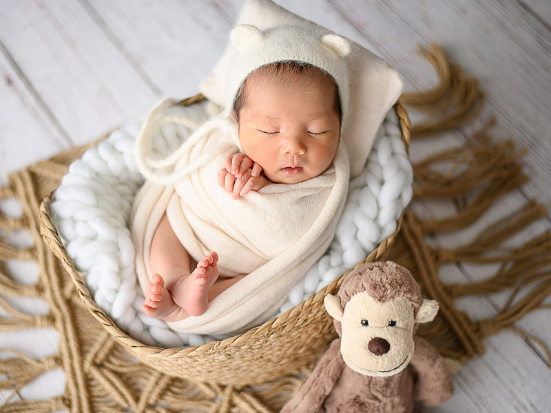 シンプルプラン